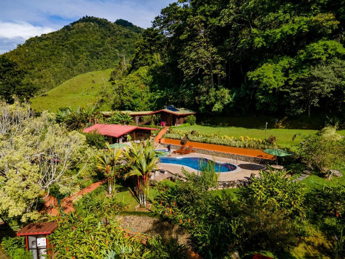 Hotel De Montana El Pelicano San Isidro De El General Zewnętrze zdjęcie