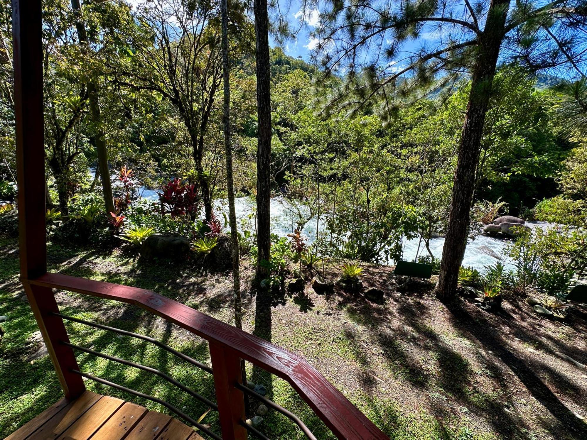 Hotel De Montana El Pelicano San Isidro De El General Pokój zdjęcie